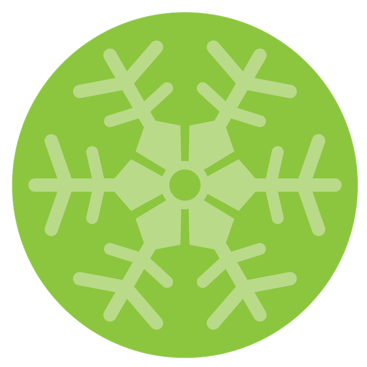 6-Point Snowflake