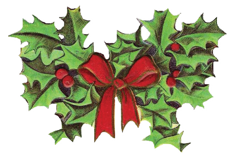Christmas Holly