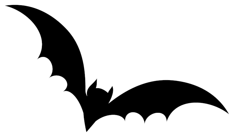 Bat
