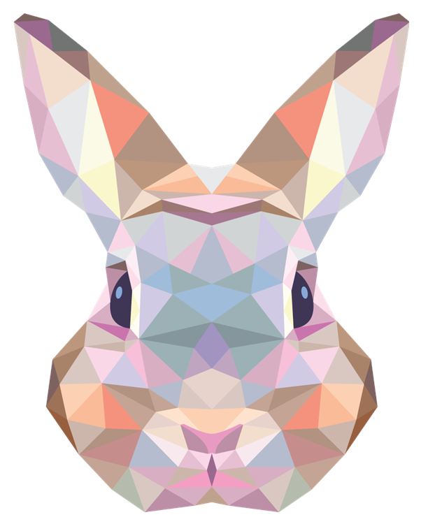 Geometic Bunny