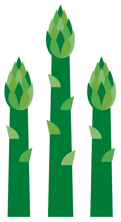 Asparagus