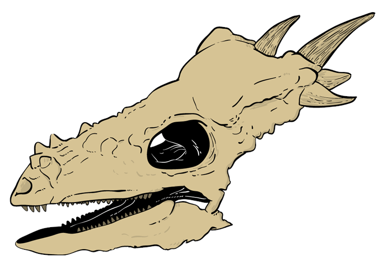 Dinosaur Skull