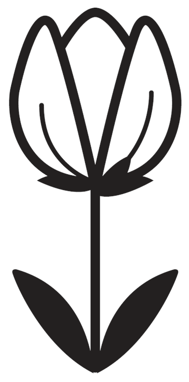 Black and White Tulip Flower