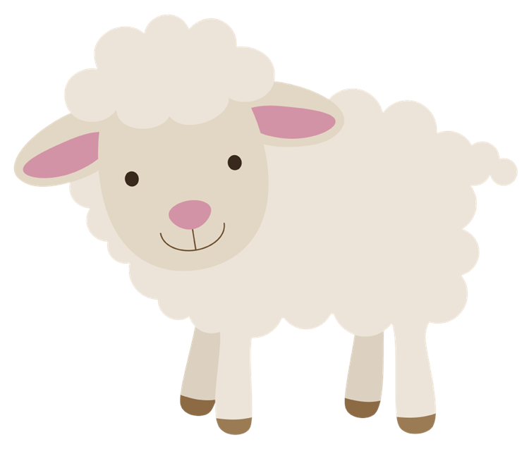 Cute Sheep