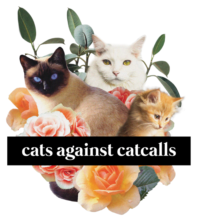 Cats against Cat Calls