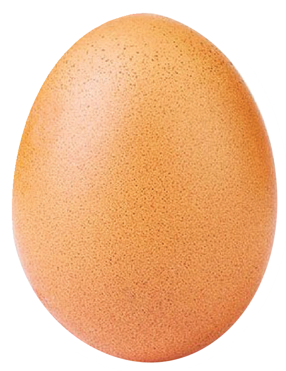 world record egg_Artboard 1.png
