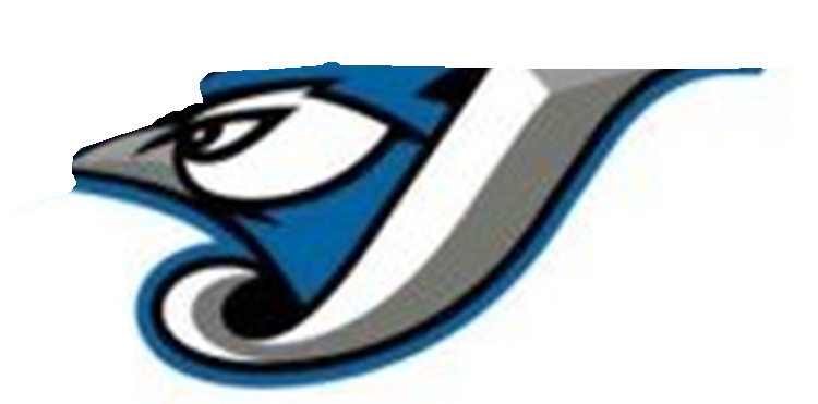 toronto_blue_jays_logo200.jpg