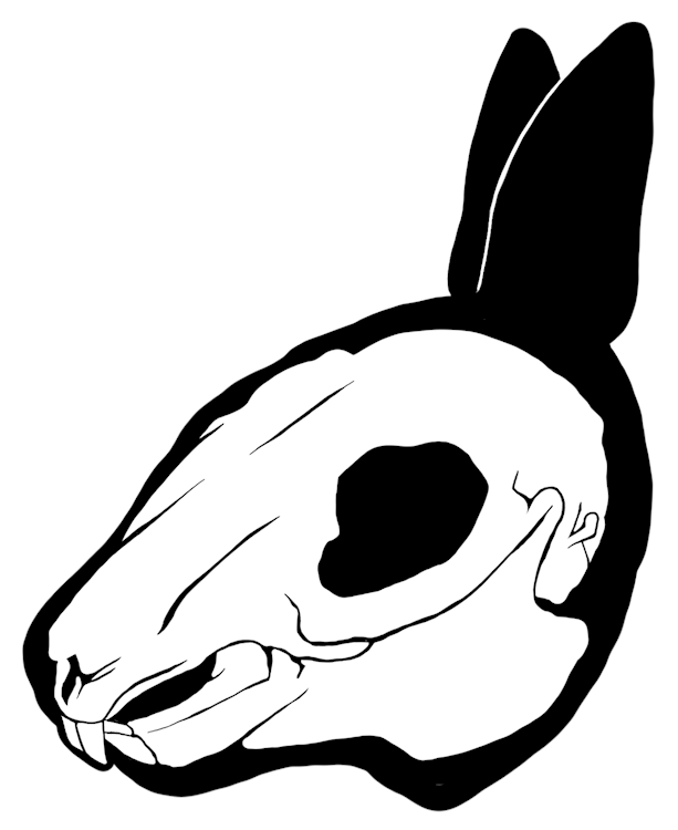 Bunny Skull