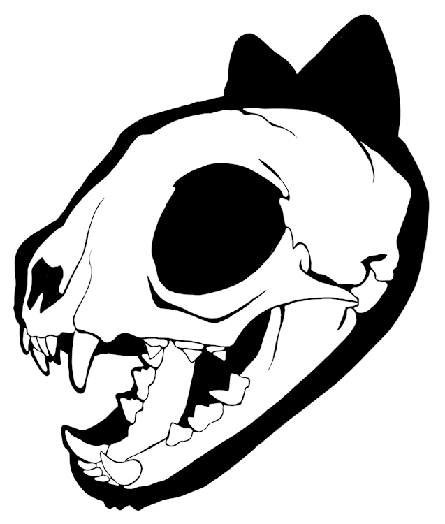 Cat Skull