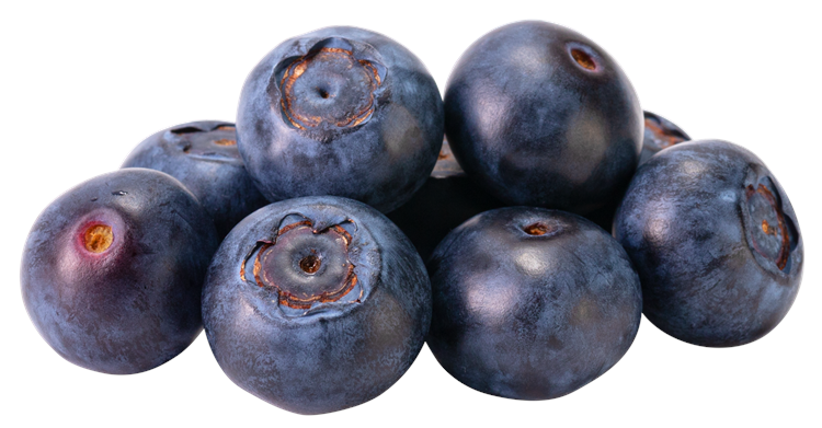Blueberry bunch