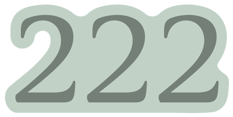222 angel number