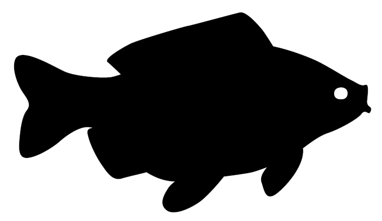 Fish Silhouette