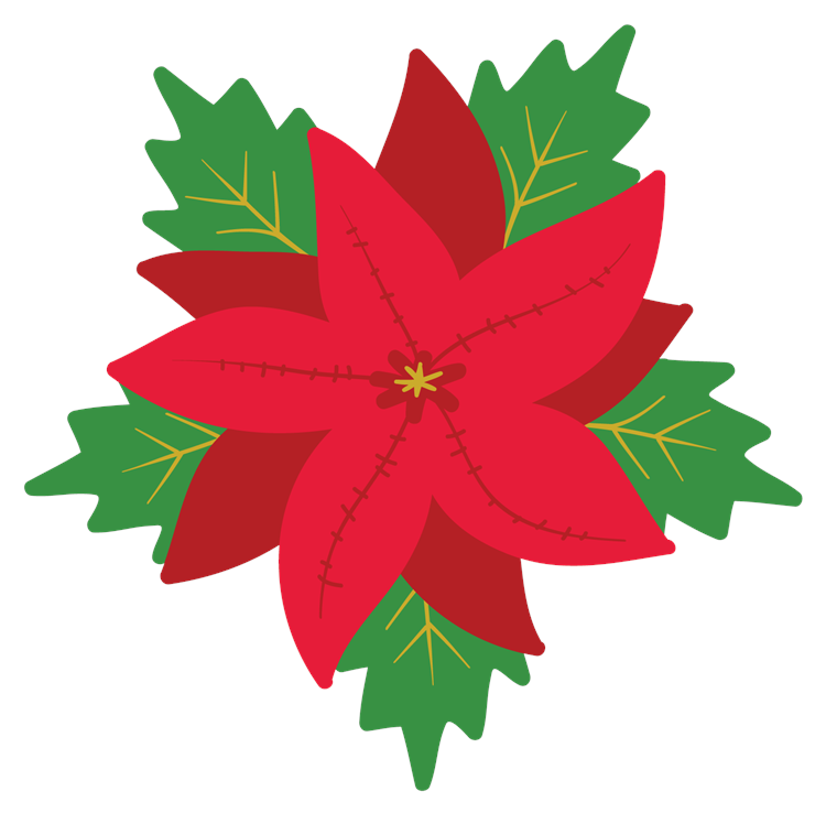 Christmas Poinsettia Flower