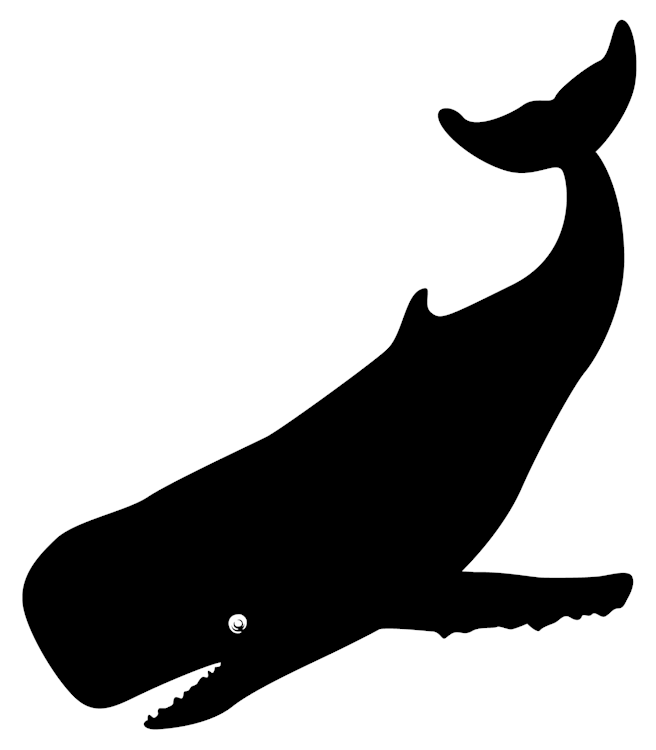 whale