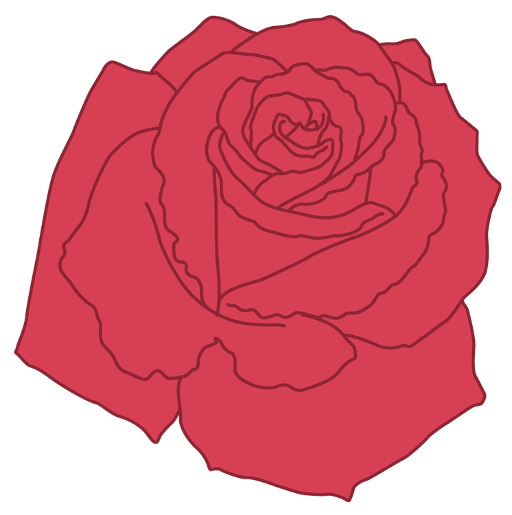 Large Basic Rose Flower