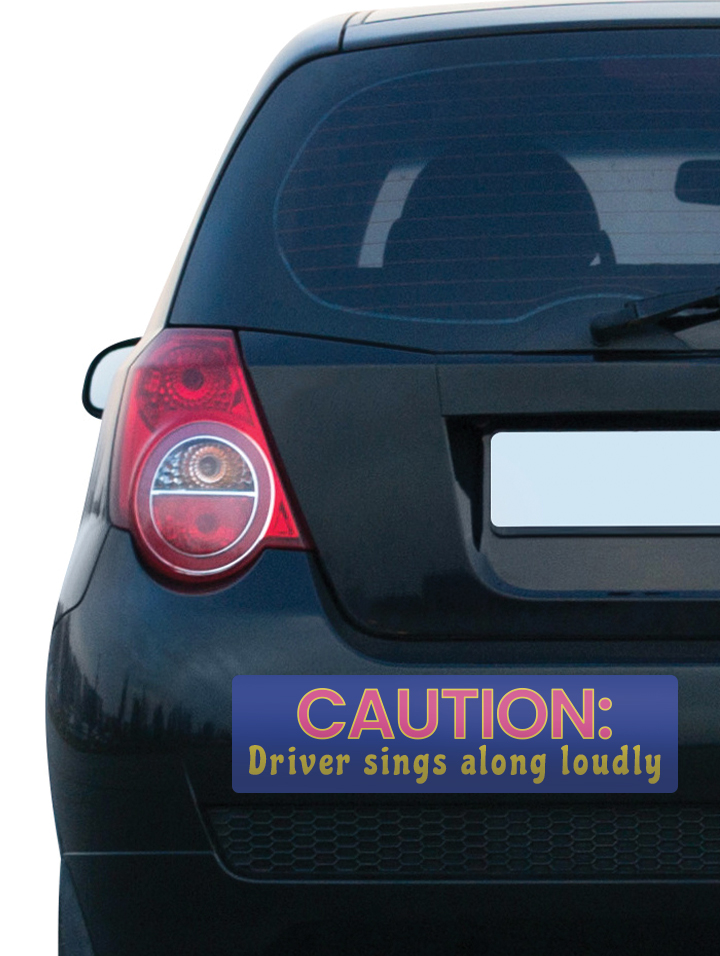 Large Rectangular Bumper Sticker – 11.5" × 3"