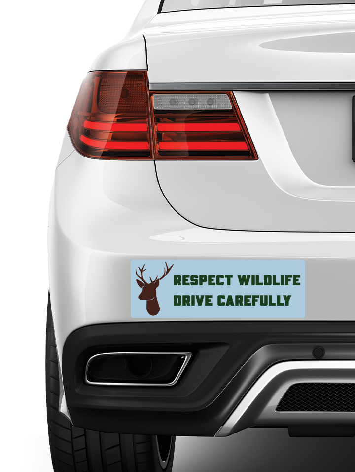 Small Rectangular Bumper Sticker – 6" × 2"