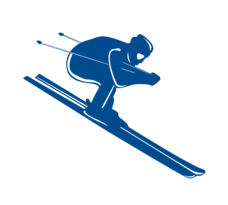alpineskiing Sticker