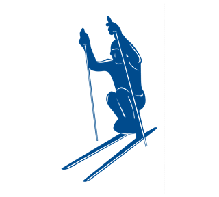Paralympic Cross Country Sticker