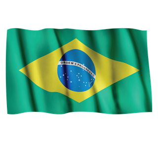 Brazil flag Sticker