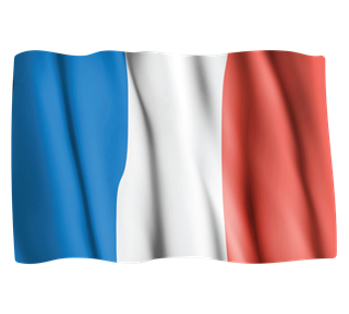 Flag of France Waving Sticker