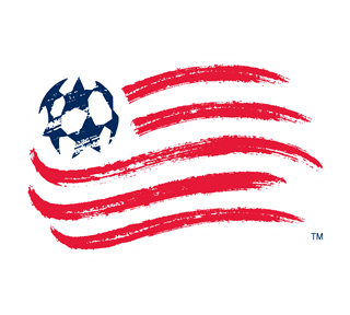 New England Revolution Primary Sticker