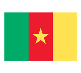 Flag of Cameroon Sticker
