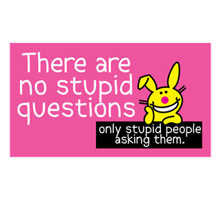 There Are No Stupid Questions Sticker