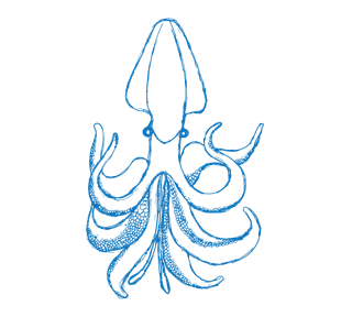 giant squid Sticker