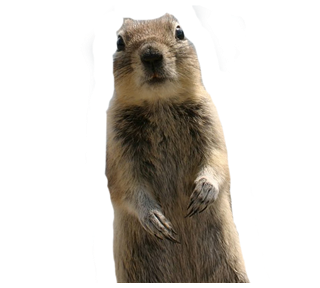 crasher1b.png Sticker