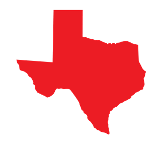 Texas Sticker