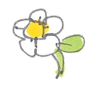 White Flower Sketch Sticker