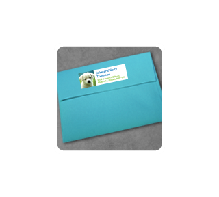 AddressLabels_image4 Sticker