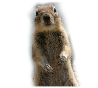 crasher1a.png Sticker