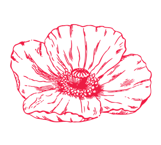 Poppy Flower Drawing Sticker