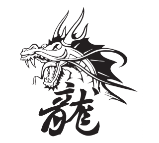 Chinese Character Dragon Sticker