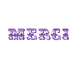 Wedding-Merci Sticker