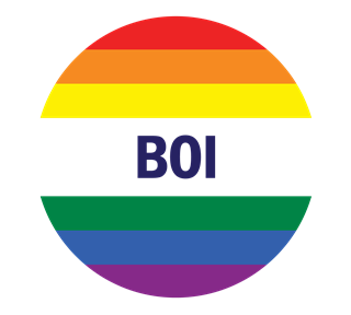 Rainbow Boi Pride Sticker