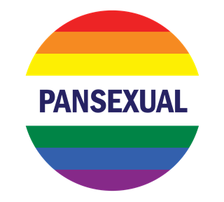 Rainbow Pansexual Pride Sticker