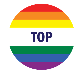 Rainbow Top Pride Sticker