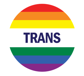 Rainbow Trans Pride Sticker