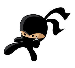 Ninja Sticker