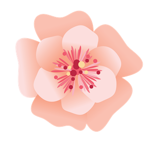 Peach Petal Flower Sticker