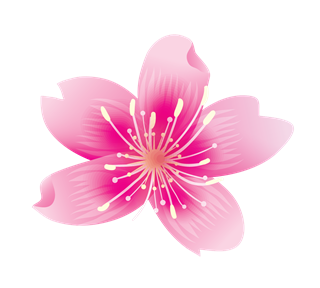5-Point Pink Flower Sticker
