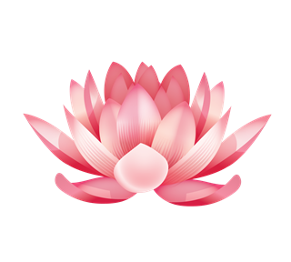 Water Lily Flower Sticker