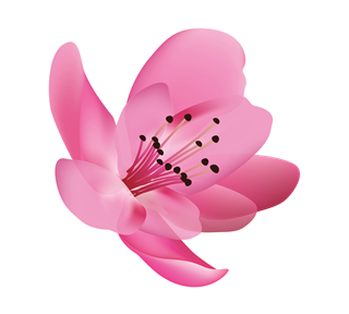Pink Flower Photo Sticker