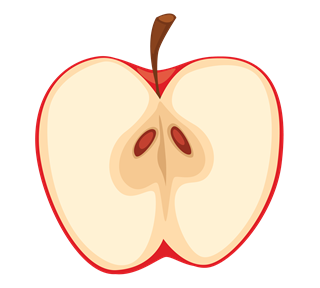 Apple Slice Sticker
