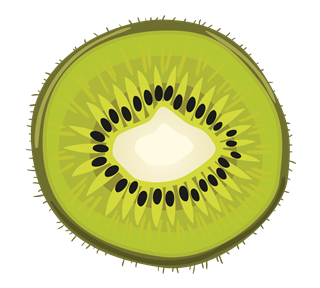 Kiwi Sticker