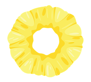 Pineapple Slice Sticker