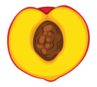 Peach Slice Sticker